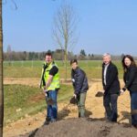 Bierstadt Nord: Zentrale Grünanlage wächst mit 83 neu gepflanzten Bäumen