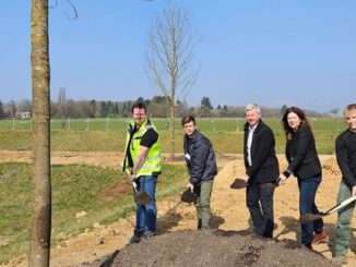 Bierstadt Nord: Zentrale Grünanlage wächst mit 83 neu gepflanzten Bäumen