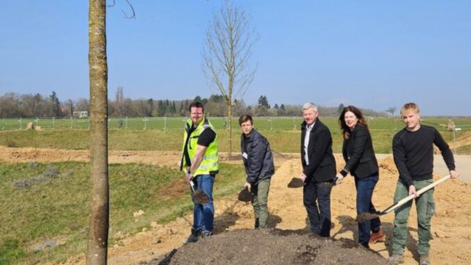 Bierstadt Nord: Zentrale Grünanlage wächst mit 83 neu gepflanzten Bäumen Bierstadt Nord: Zentrale Grünanlage wächst mit 83 neu gepflanzten Bäumen