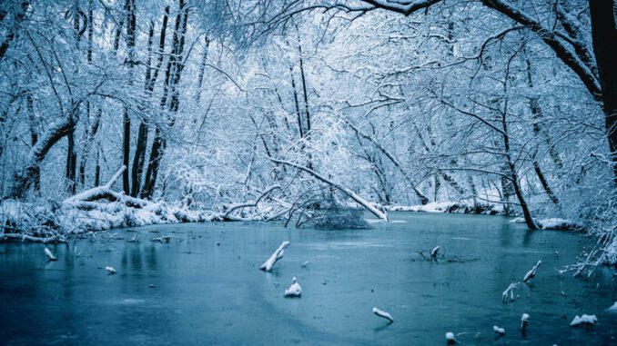 Gefahr auf Eisflächen in Wiesbaden: Schiersteiner Hafen besonders betroffen Gefahr auf Eisflächen in Wiesbaden: Schiersteiner Hafen besonders betroffen