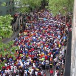 Gutenberg Halbmarathon macht Theodor Heuss Brücke und Innenstadtbereiche in Mainz für Fahrzeuge unpassierbar